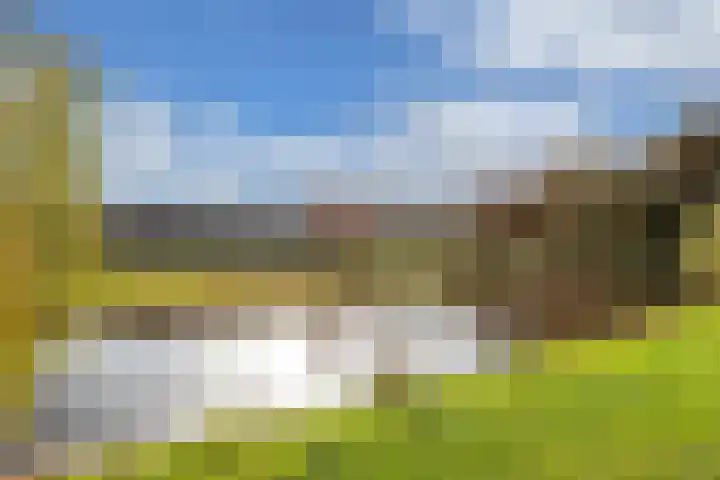 Bloemkamp 10 Drachten thumbnail 30