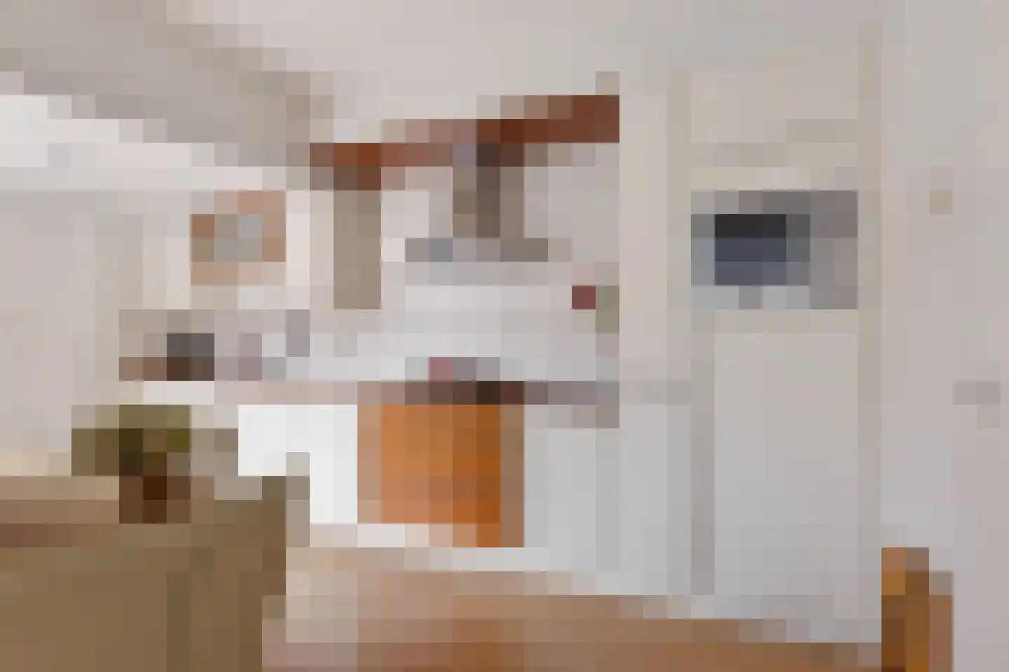 Bloemkamp 36 Drachten thumbnail 19