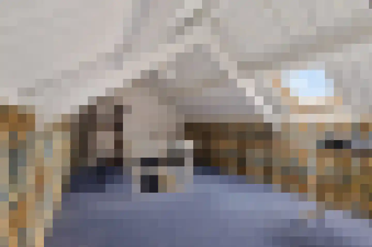 Bloemkamp 36 Drachten thumbnail 42