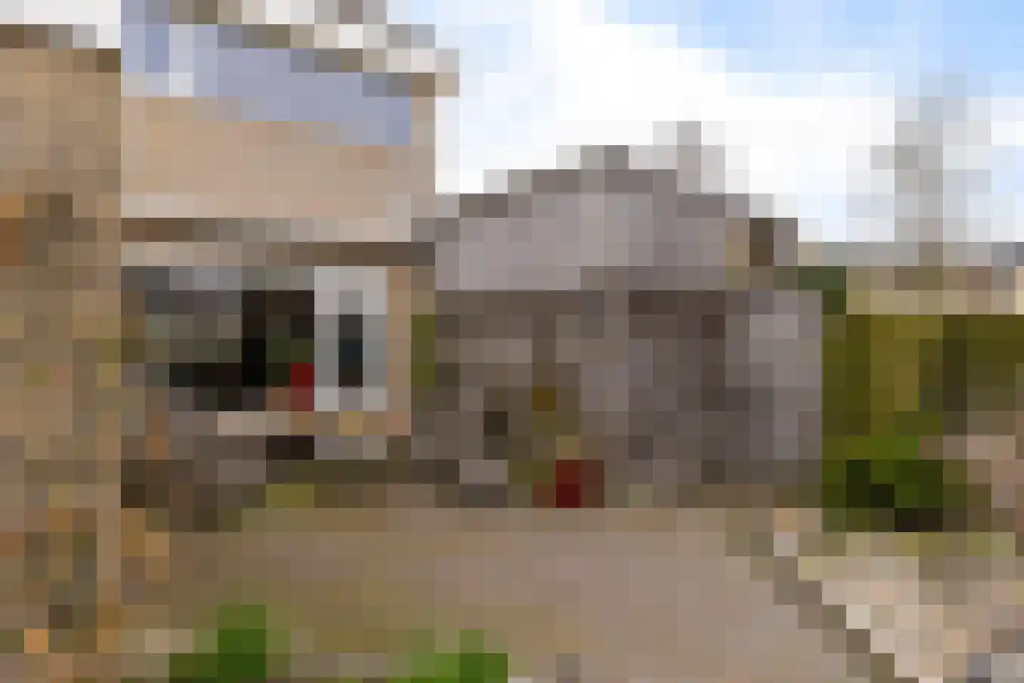 Bloemkamp 36 Drachten thumbnail 47