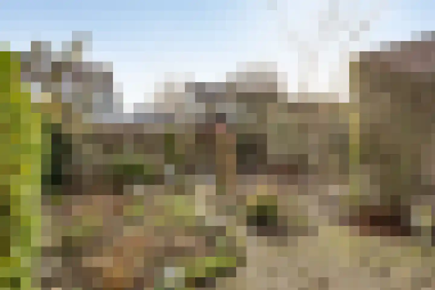 Bloemkeshof 40 Zaltbommel thumbnail 27
