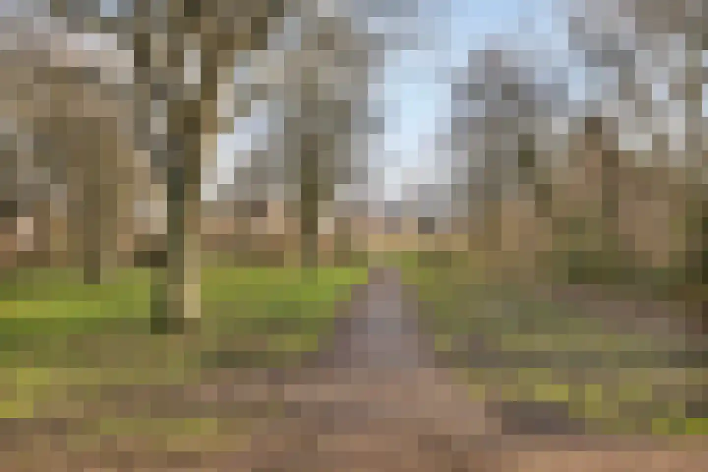 Bloemkeshof 40 Zaltbommel thumbnail 31