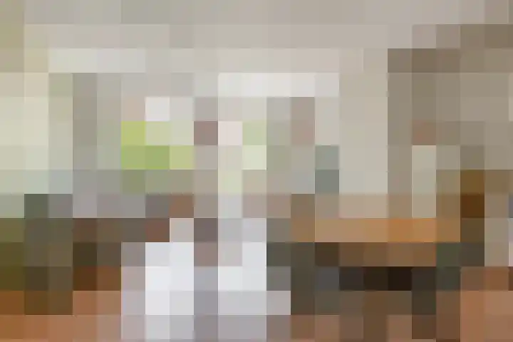 Bloemkwekersstraat 115 Rotterdam thumbnail 33