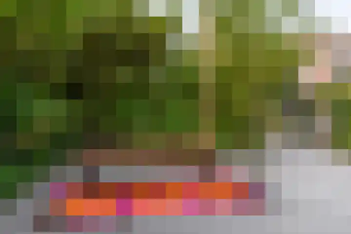 Bloemkwekersstraat 115 Rotterdam thumbnail 7