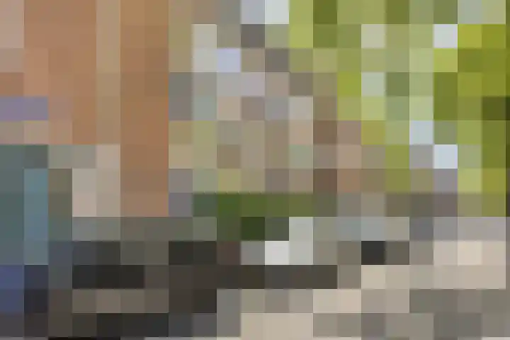 Bloemkwekersstraat 12 B in Rotterdam