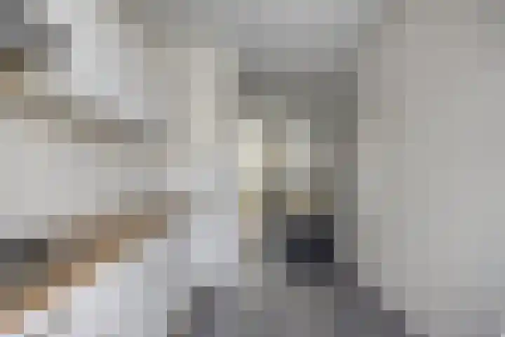 Bloemkwekersstraat 12 B Rotterdam thumbnail 4