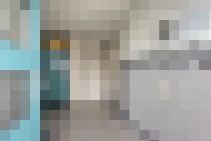 Bloemkwekersstraat 12 B Rotterdam thumbnail 6