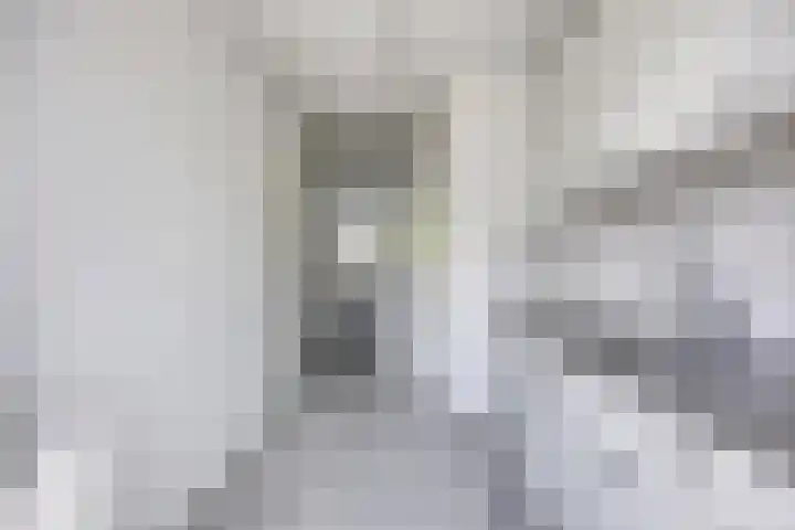 Bloemkwekersstraat 18 B Rotterdam thumbnail 13