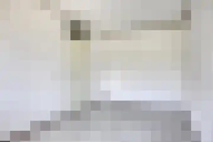 Bloemkwekersstraat 18 B Rotterdam thumbnail 17