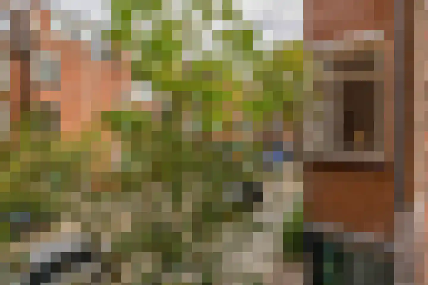 Bloemkwekersstraat 33 Rotterdam thumbnail 23
