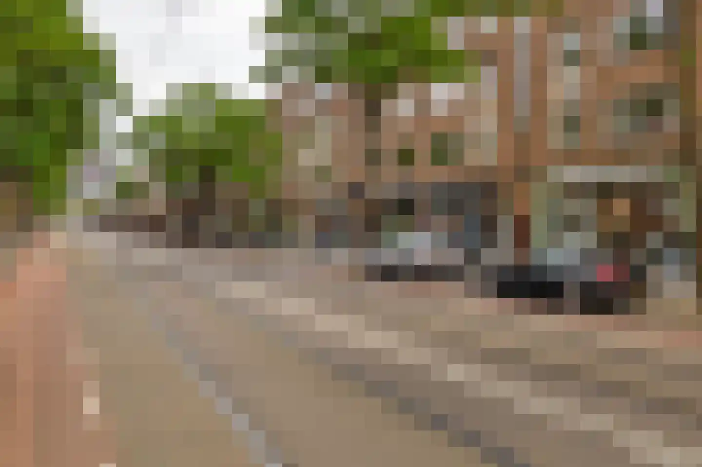 Bloemkwekersstraat 33 Rotterdam thumbnail 29