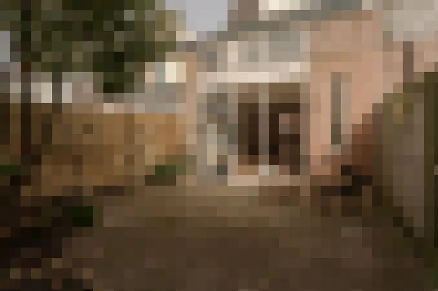 Bloemluststraat 3 Wassenaar thumbnail 13