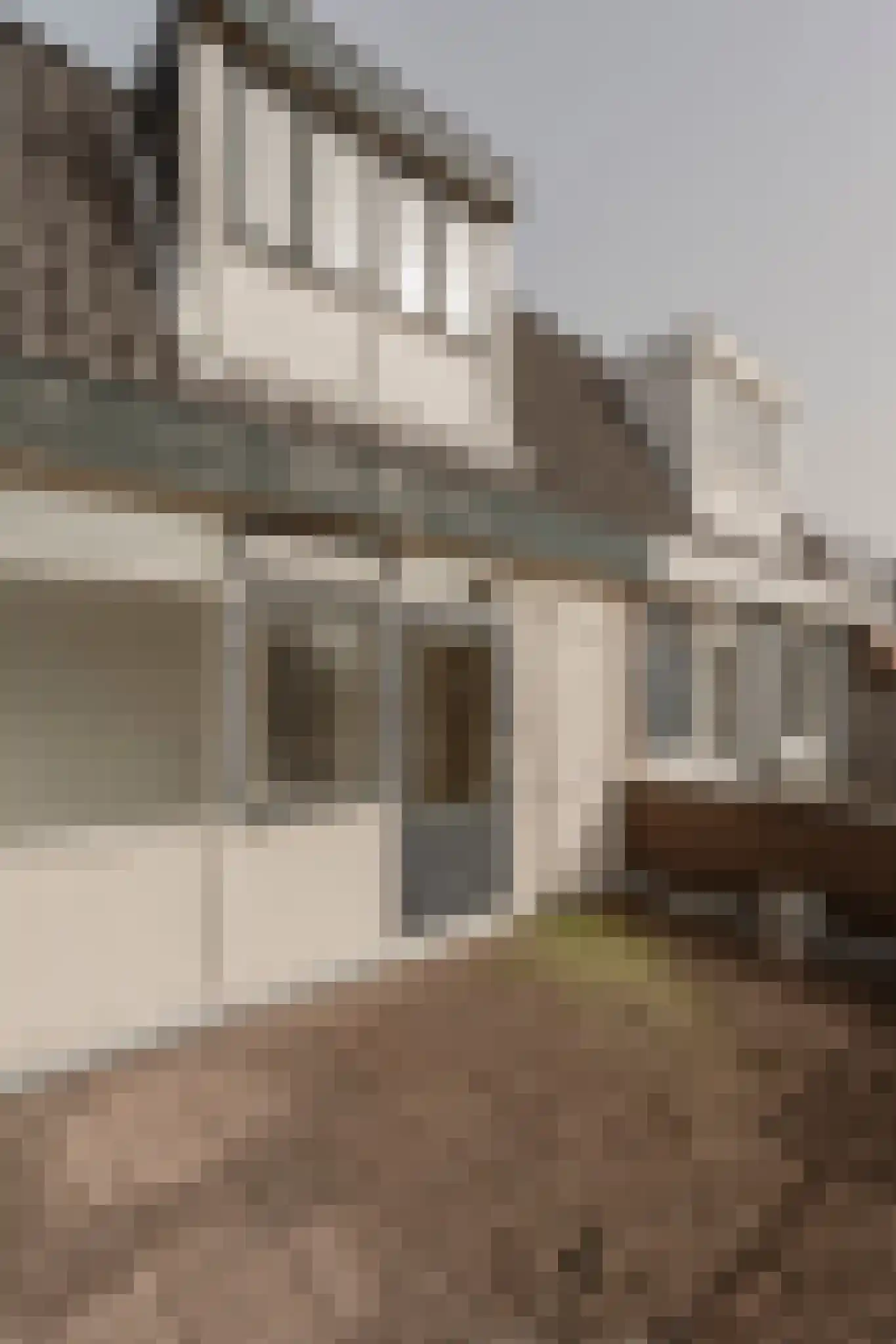Bloemluststraat 3 Wassenaar thumbnail 24