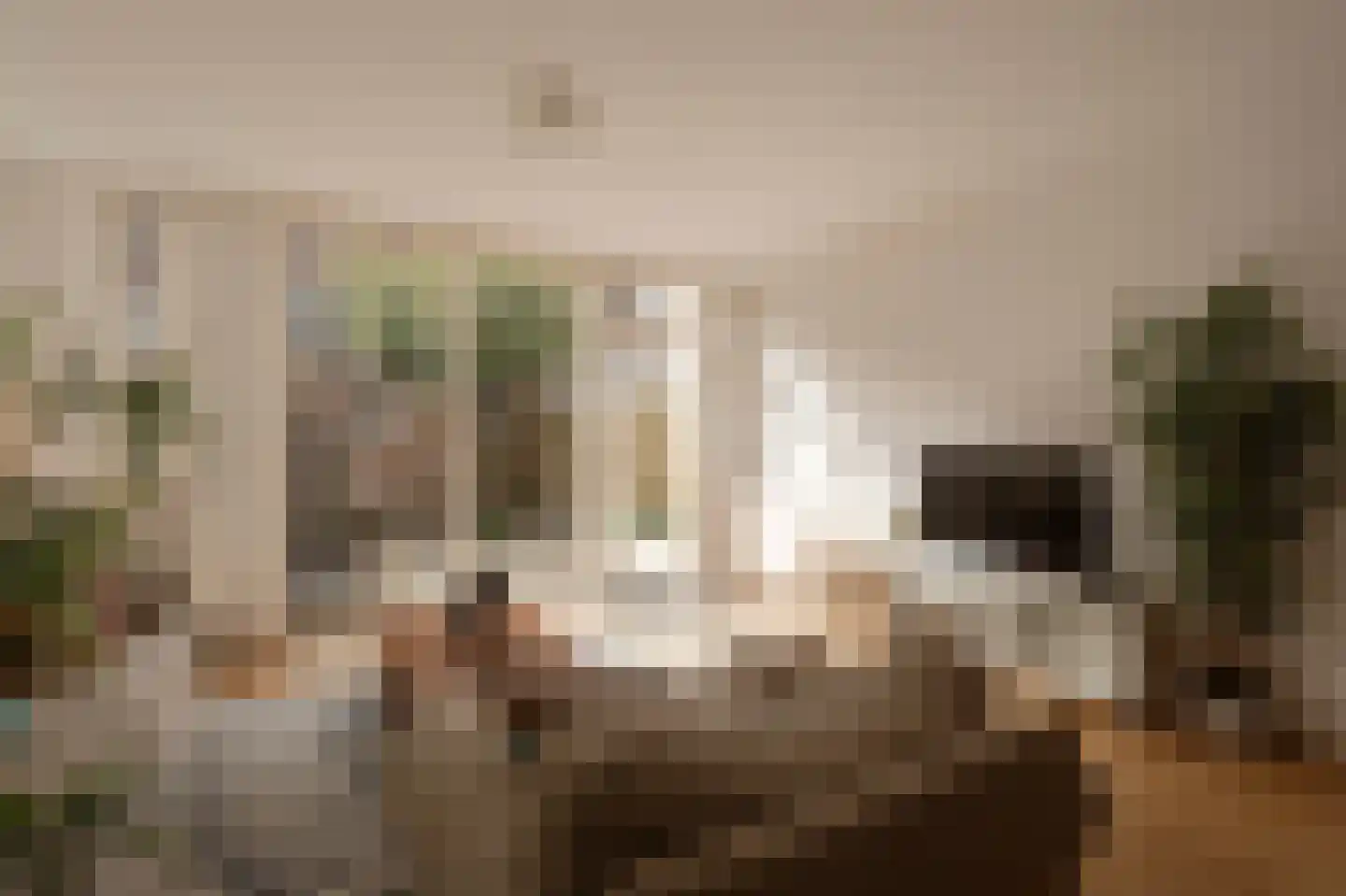 Bloemluststraat 3 Wassenaar thumbnail 9