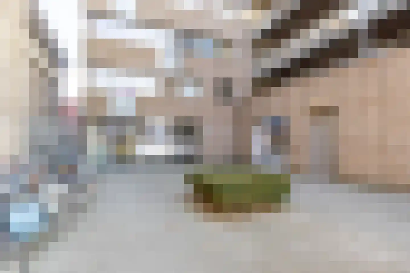 Bloemsingel 113 Groningen thumbnail 12