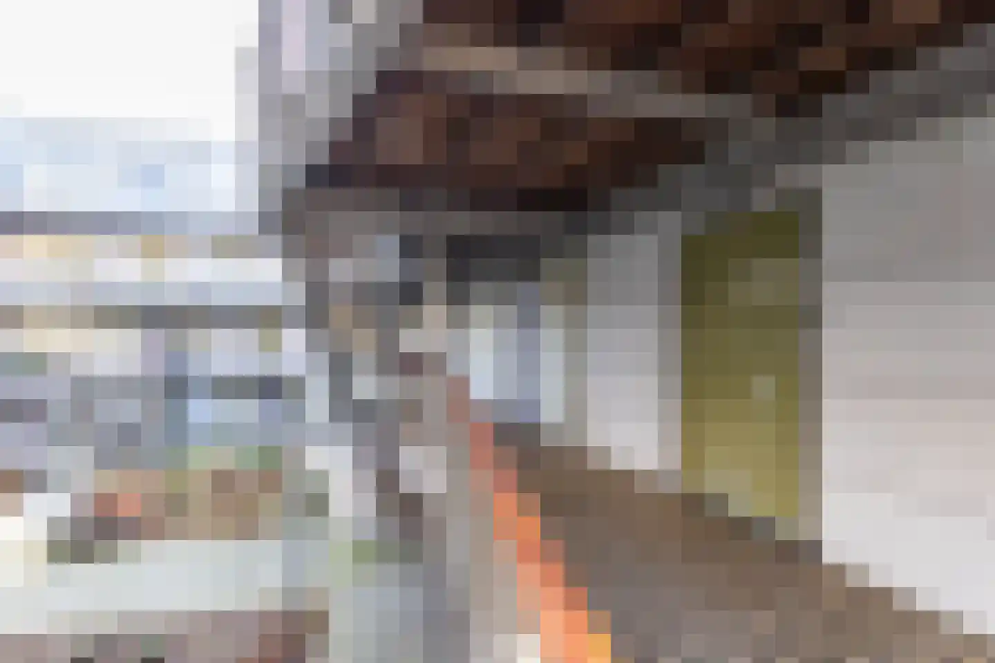 Bloemsingel 113 Groningen thumbnail 17