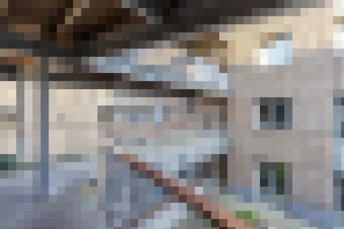 Bloemsingel 113 Groningen thumbnail 20
