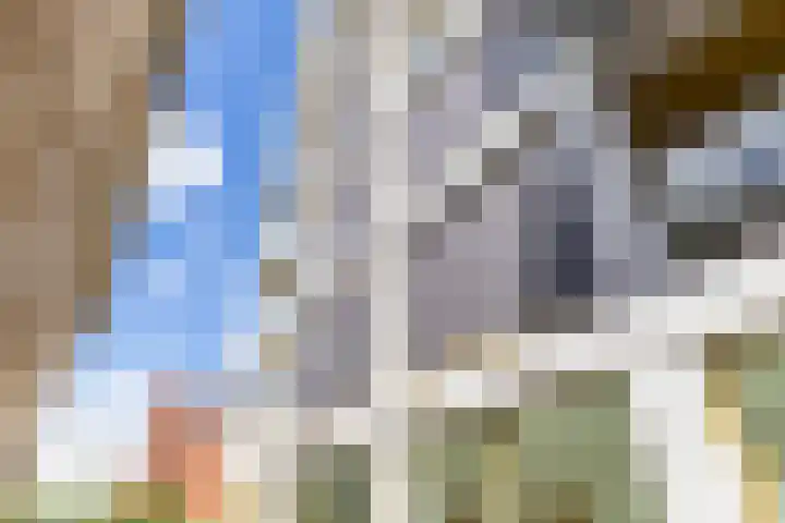 Bloemsingel 126 Groningen thumbnail 13