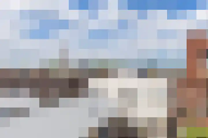 Bloemsingel 126 Groningen thumbnail 37