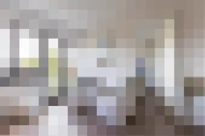 Bloemsingel 127 Groningen thumbnail 21