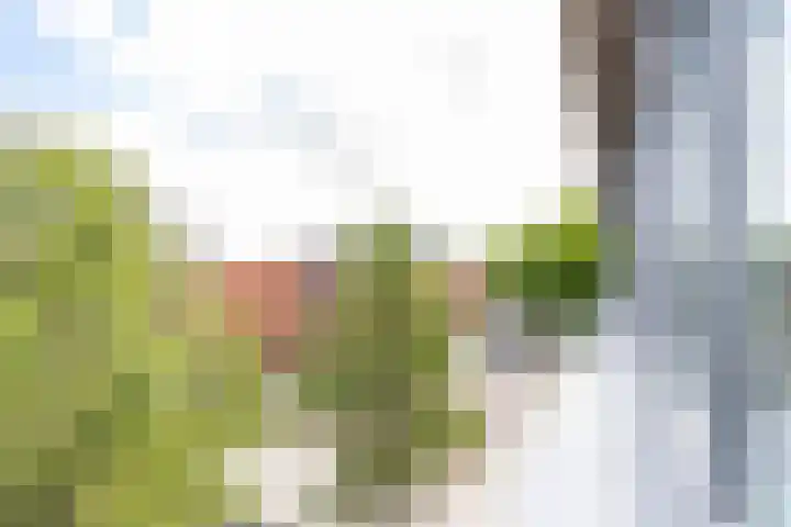 Bloemsingel 127 Groningen thumbnail 22