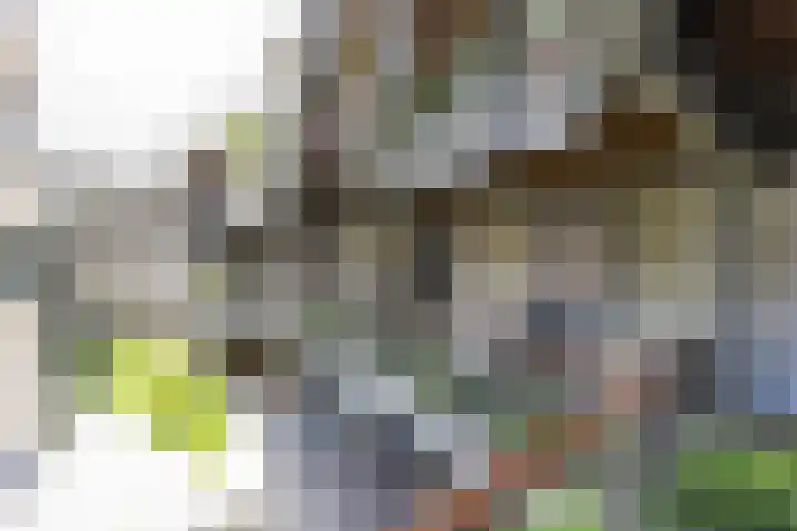 Bloemsingel 127 Groningen thumbnail 33