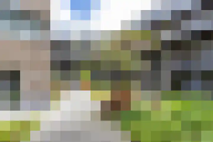 Bloemsingel 127 Groningen thumbnail 34