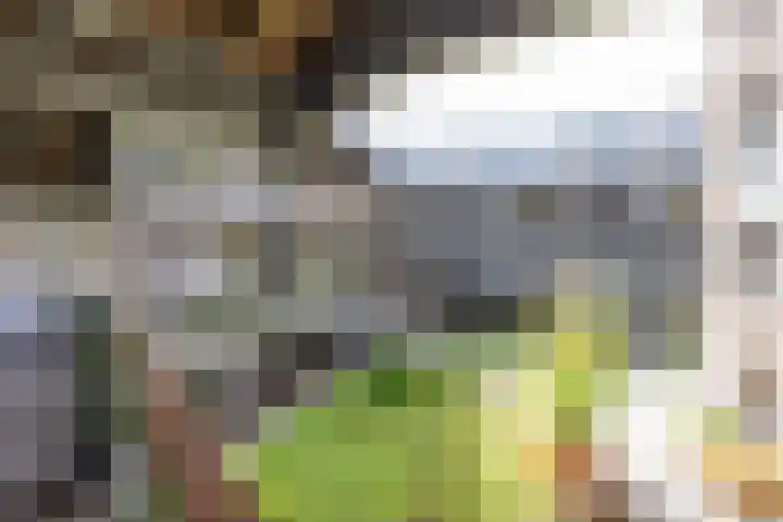 Bloemsingel 127 Groningen thumbnail 36