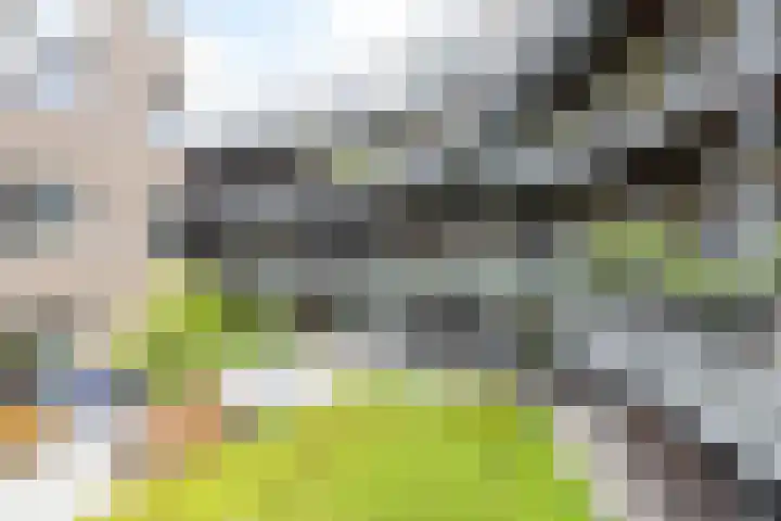 Bloemsingel 127 Groningen thumbnail 37