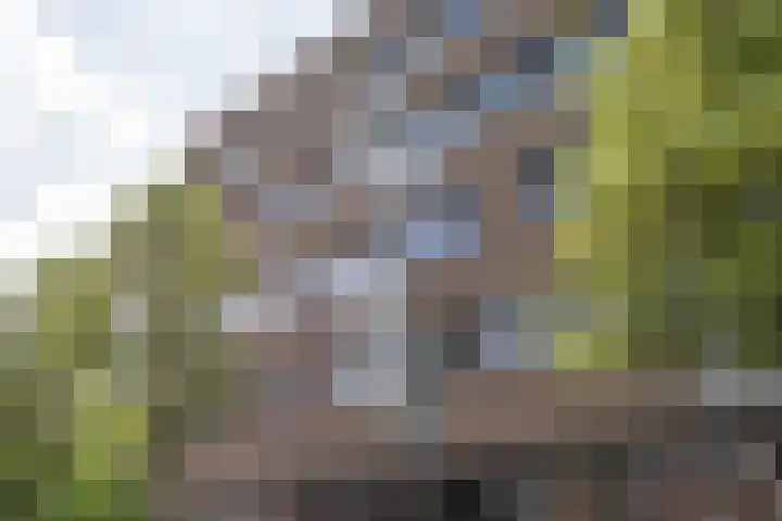 Bloemsingel 127 Groningen thumbnail 38