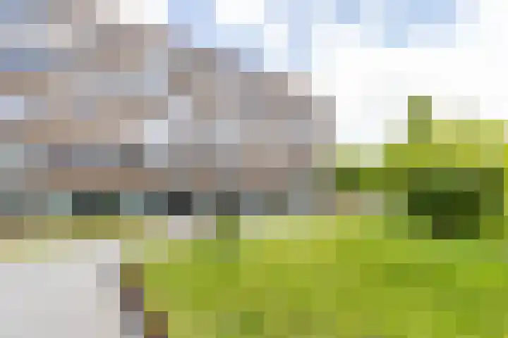 Bloemsingel 127 Groningen thumbnail 40