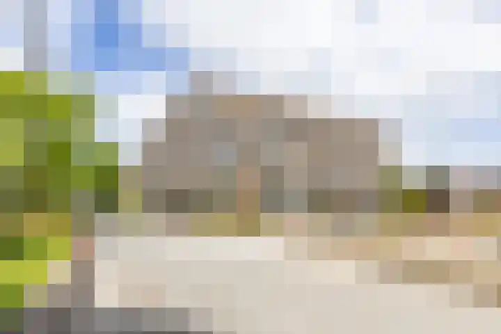 Bloemsingel 127 Groningen thumbnail 41