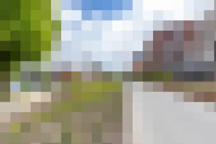 Bloemsingel 127 Groningen thumbnail 42
