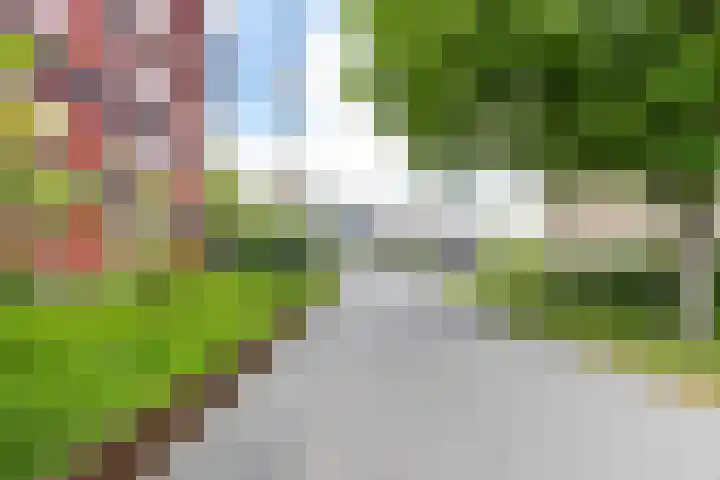 Bloemsingel 127 Groningen thumbnail 44