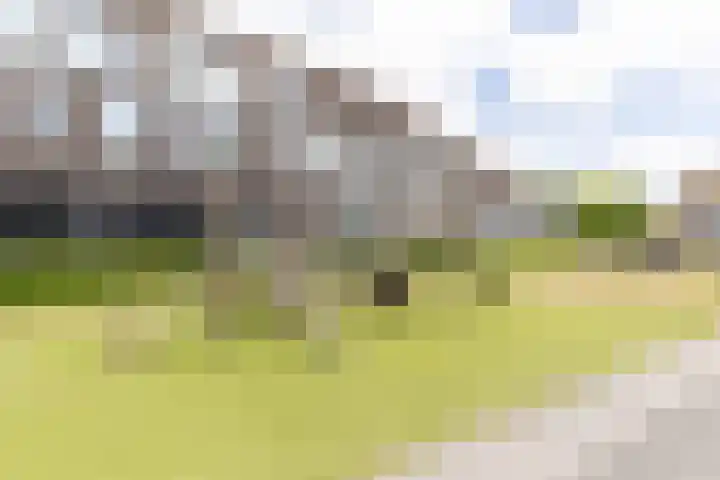 Bloemsingel 127 Groningen thumbnail 45