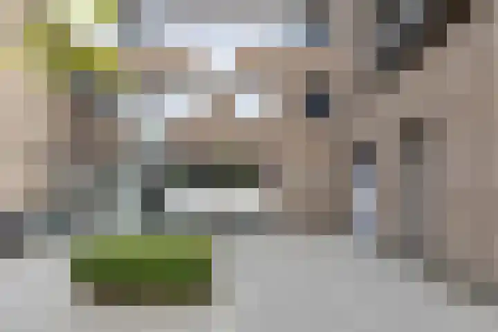 Bloemsingel 127 Groningen thumbnail 5