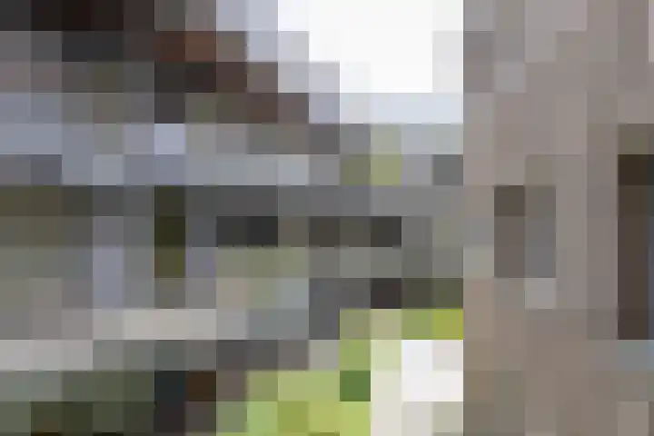 Bloemsingel 127 Groningen thumbnail 8