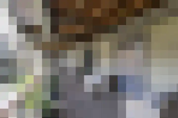 Bloemsingel 127 Groningen thumbnail 9