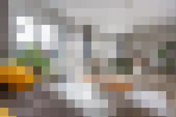 Bloemsingel 137 Groningen thumbnail 17
