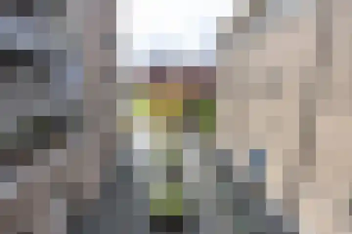 Bloemsingel 137 Groningen thumbnail 20