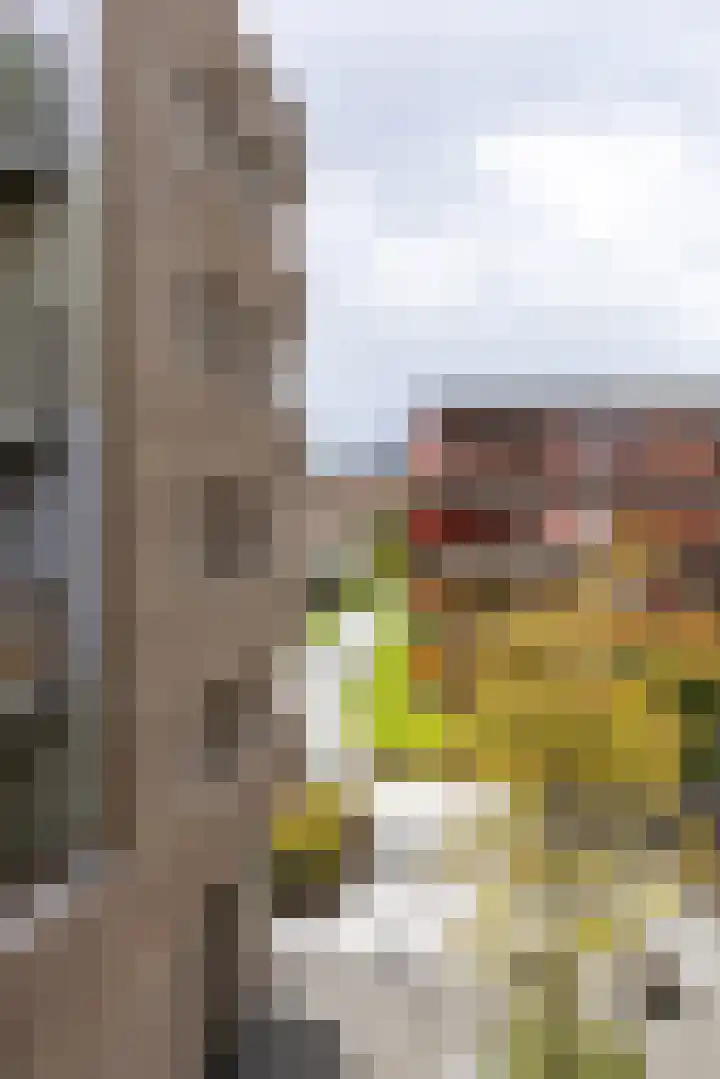 Bloemsingel 137 Groningen thumbnail 21