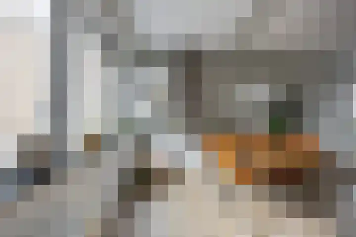 Bloemsingel 137 Groningen thumbnail 23