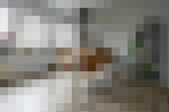 Bloemsingel 137 Groningen thumbnail 24
