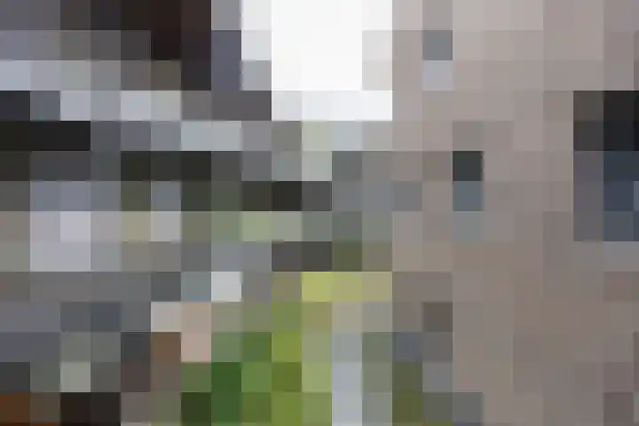 Bloemsingel 137 Groningen thumbnail 34