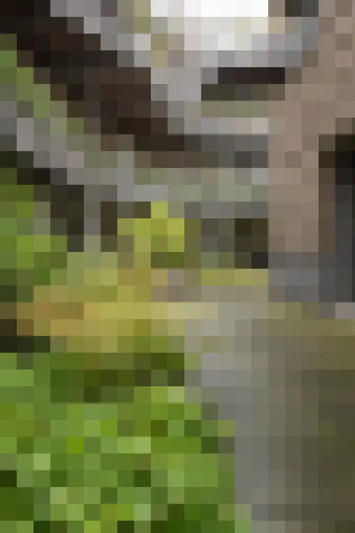 Bloemsingel 137 Groningen thumbnail 35