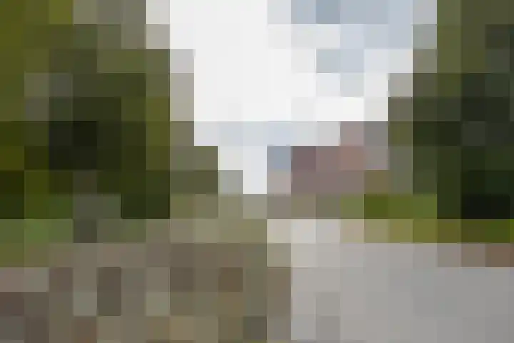 Bloemsingel 137 Groningen thumbnail 36