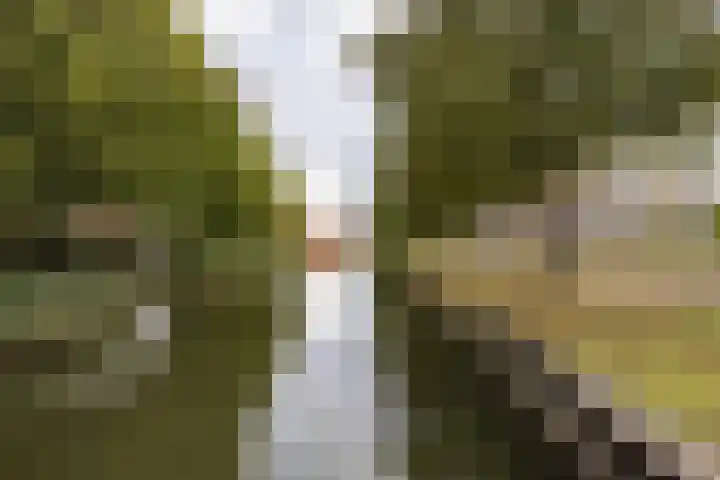 Bloemsingel 137 Groningen thumbnail 37