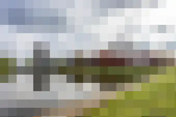Bloemsingel 137 Groningen thumbnail 4