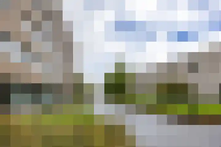 Bloemsingel 137 Groningen thumbnail 6