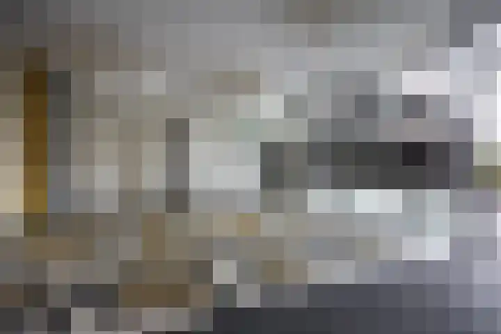 Bloemsingel 137 Groningen thumbnail 9